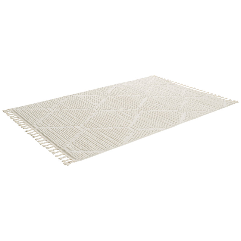 Tapis à poils longs Ruprecht, Rectangle 5 pi 7 po x 7 pi 3 po