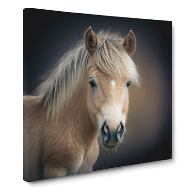 Pony No.1 - Wrapped Canvas