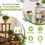 11 plantes