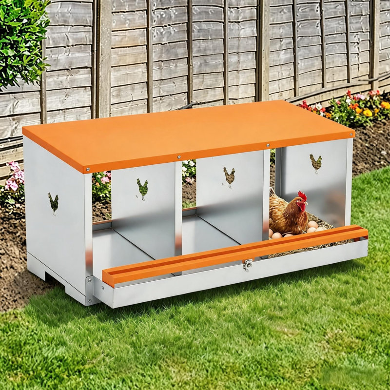 Boîte à nid de poule, boîte à œufs pour poules avec couvercle, boîtes à œufs en métal pour poulailler