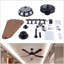 Addalyn 52'' Ceiling Fan with LED Lights