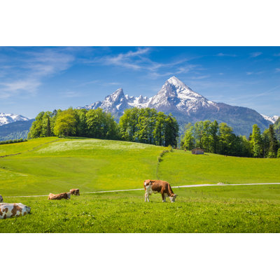 Idyllic Summer Landscape 1 Piece Wrapped Canvas Wall Art