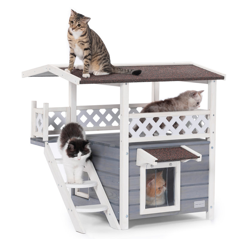 Maison pour chat Egita