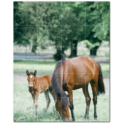 Horse Photo 12'' x 12'' Satin Ceramic Decorative Mural