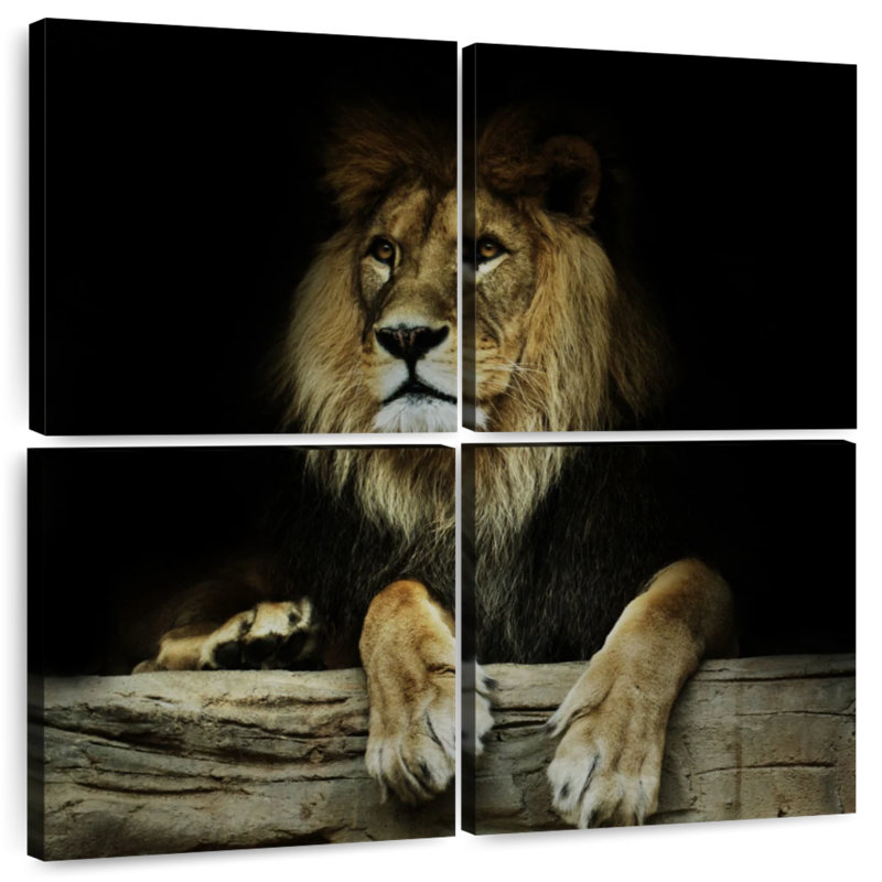Brampt Imperious Lion