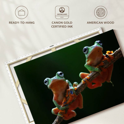 Two Wallace's Flying Frogs