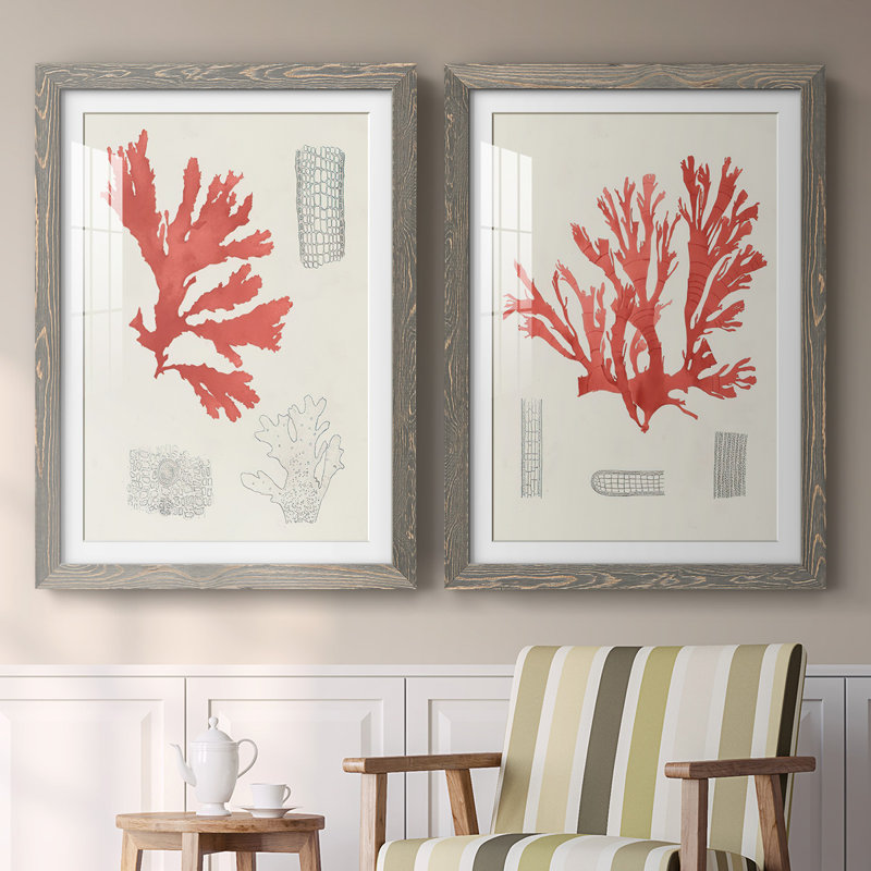 «Vintage Coral Study III», reproduction encadrée de qualité supérieure - prête à accrocher, H 27,5 po x l 75 po x P 1,5 po
