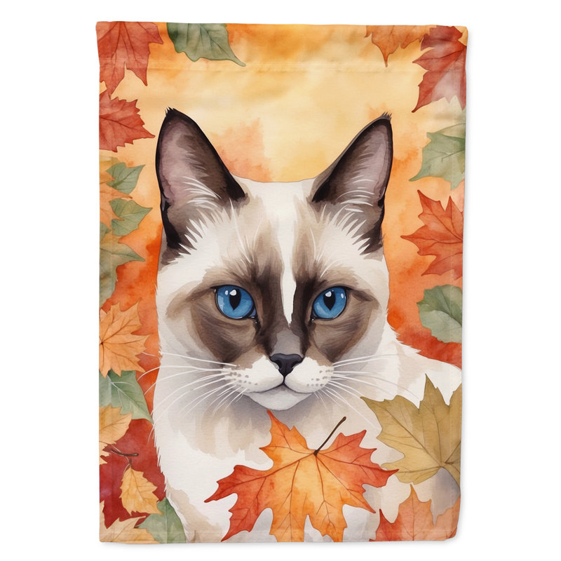 Chat en feuilles d'automne, Raquette à neige