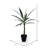 Artificial Green Yucca Tree-657066114