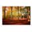 Philippe Sainte-Laudy - Photograph on Canvas-745795437
