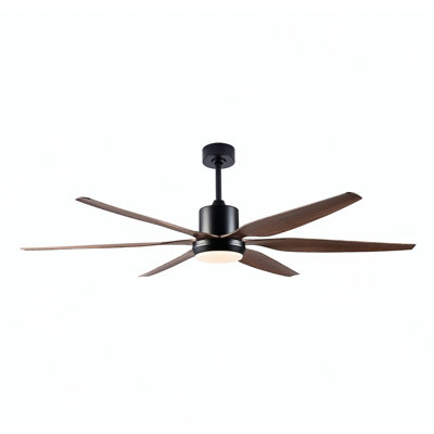 Ventilateurs de plafond extérieurs de 54 po avec lumières, ventilateur de plafond intérieur imperméable avec télécommande, 5 pales ABS modernes, moteur à courant continu silencieux à 3 vitesses CCT, pour porches de patio