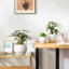 TYHPOT Ceramic Pot Planter-1051147105