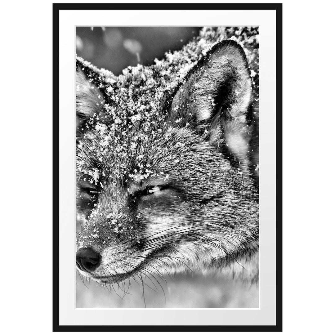 Gerahmtes Poster Fuchs im Schnee