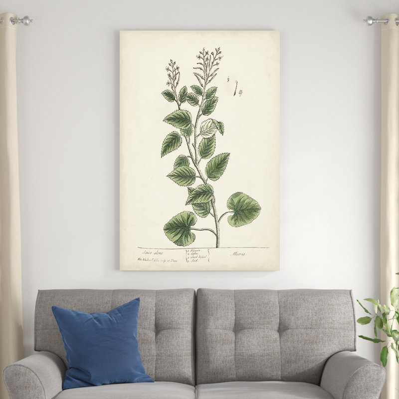 " Antique Herbs III " Painting Print, 48" H x 32" W