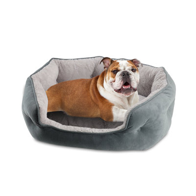 Creedmoor Round Orthopedic Memory Foam Pet Bed