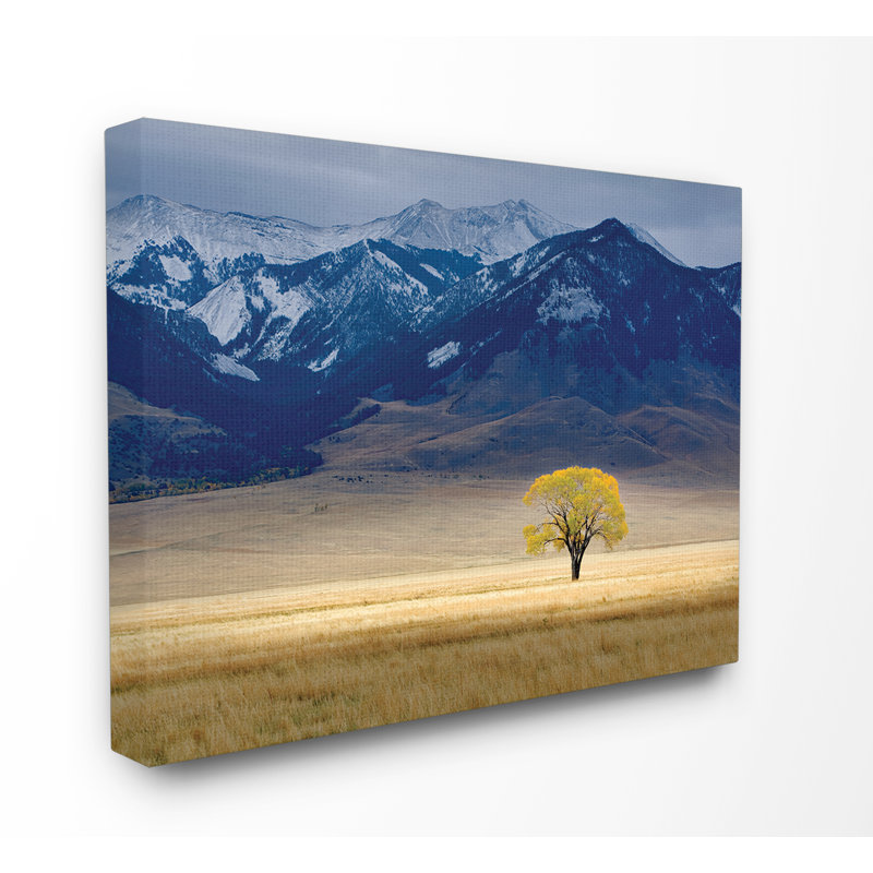 «Open Range Landscape with Tree», reproduction de photo, H 16 po x l 20 po, Toile tendue