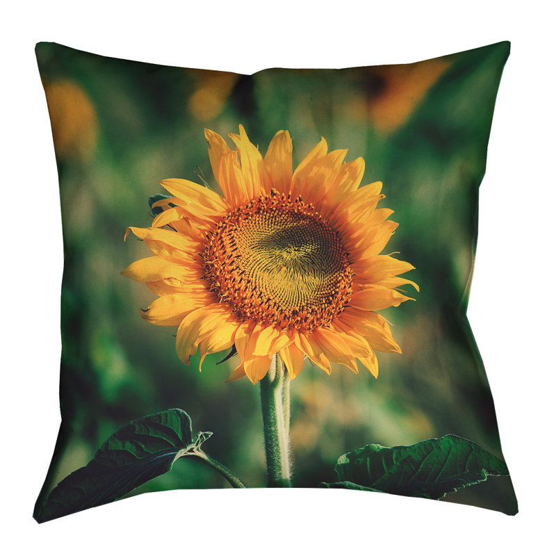 Coussin Aziz Acharki, 16 po x 16 po