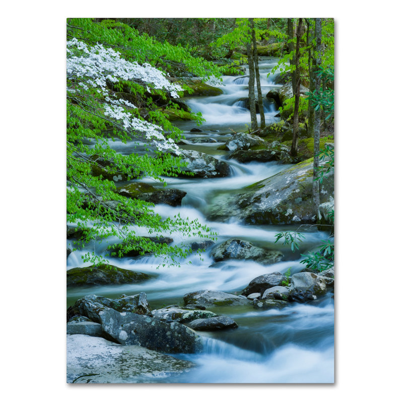 Cliffton «Flowering Dogwood», reproduction de photo sur toile tendue, H 32 po x l 24 po x P 2 po