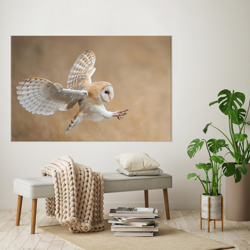 Personalized Barn Owl Before Attack Wildlife Art On Framed Canvas For A Unique Gift, 20cm H x 30 cm W, Wrapped Canvas