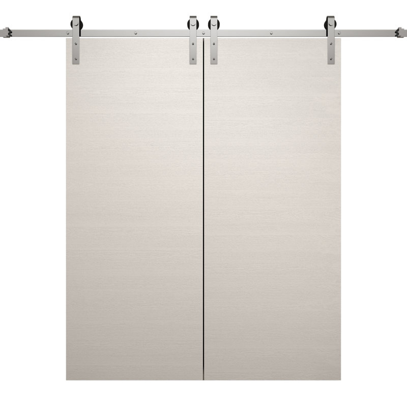 Porte de grange double moderne | Ego 5000 | Ensemble de rail argenté | Portes intérieures solides, 60 po x 84 po