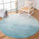 Adirondack Performance Rug
