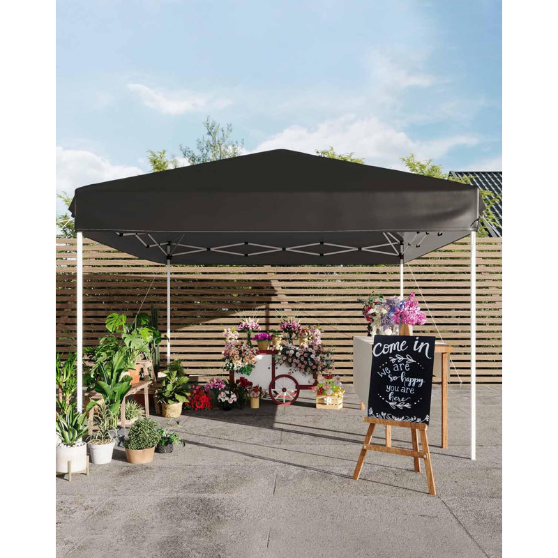 Tente escamotable 10 x 10 pi - Abri d'ombrage extérieur, Acier inoxydable, Noir