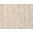 Transitional Hand-Knotted Beige/Light Brown Area Rug