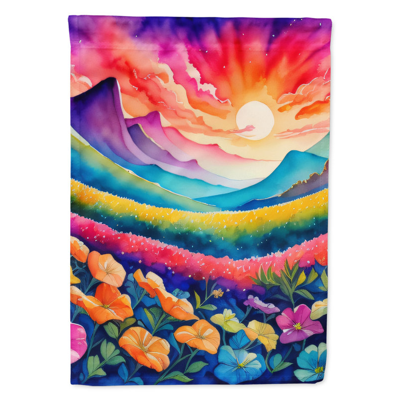 Double Sided 40'' H x 28'' W Polyester House Flag