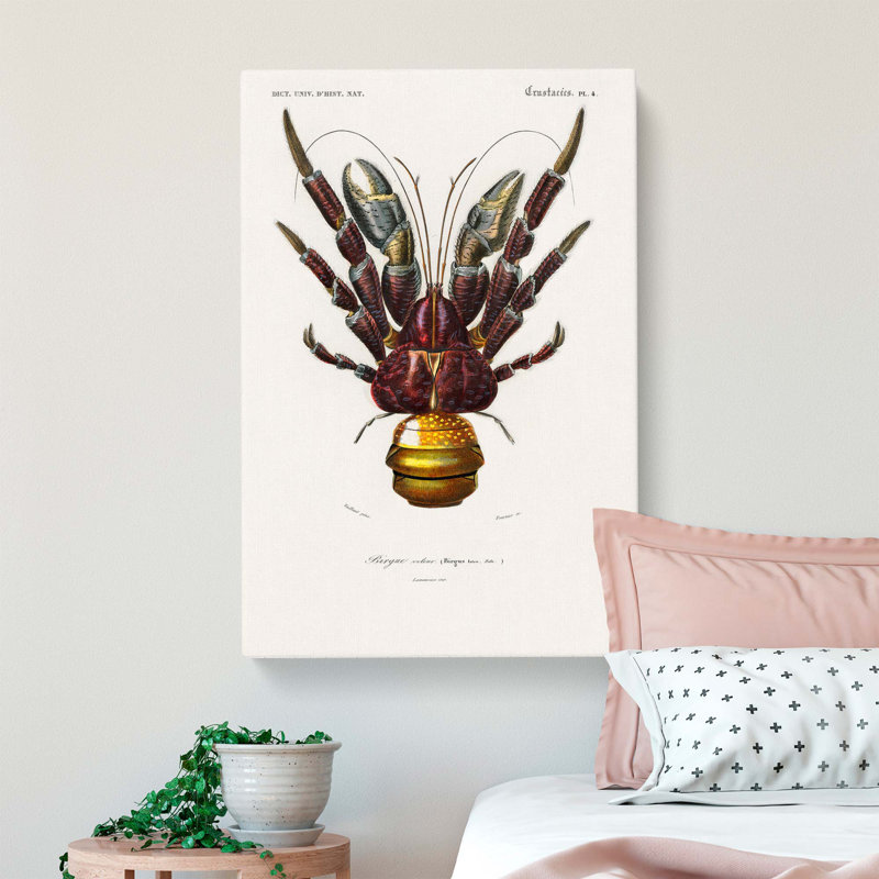 Coconut Crab by Charles D' Orbigny - Wrapped Canvas Painting, 50cm H x 35cm W x 3cm D