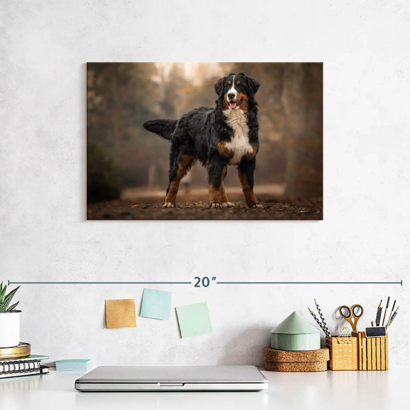 Brampt Bernese Mountain Dog, 8" H x 12" W