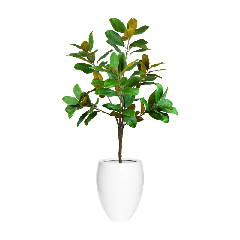 UV Rated 5' Magnolia Tree Drop-In with Fiberstone Planter