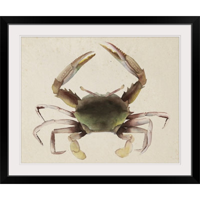 Sea Dweller  Sea Dweller IV  by Grace Popp