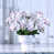 Rose/Blanc