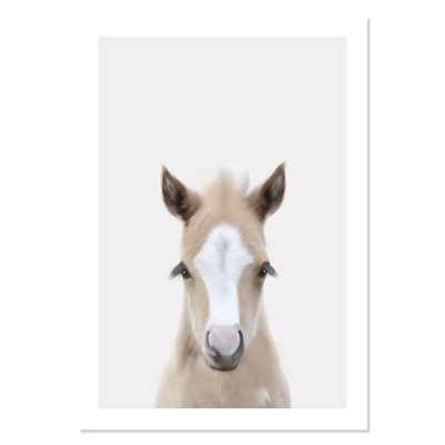 Baby Horse 1, impression sur papier