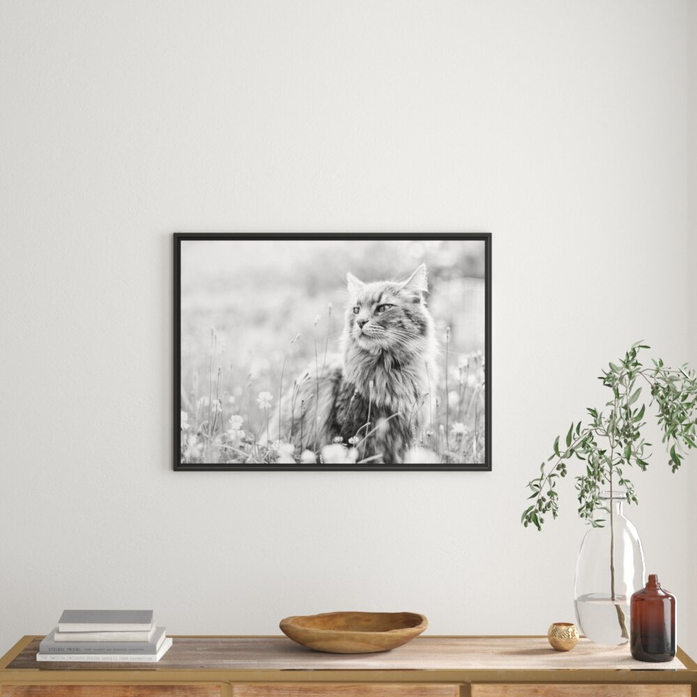 Gerahmtes Wandbild Katze in der Wildnis Kunst B&W