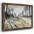 Noyer
