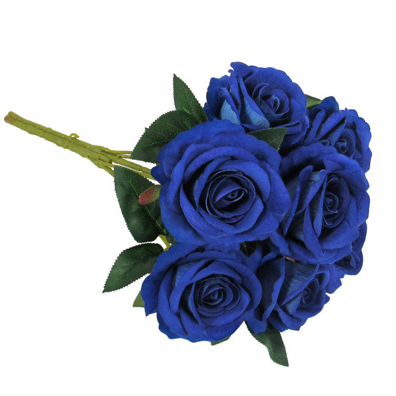 Velours rosier, Bleu royal