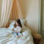 Gingham Duvet Cover-395899973
