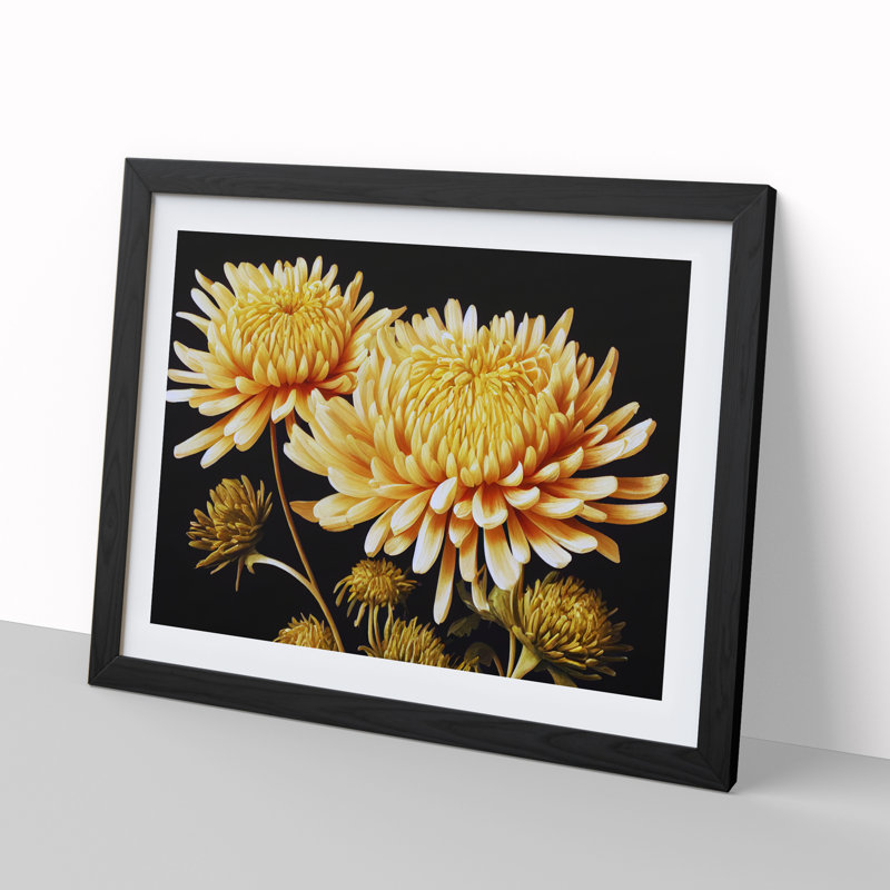 Astonishing Chrysanthemum Flowers - Single Picture Frame Print, Black, 46cm H x 64cm W