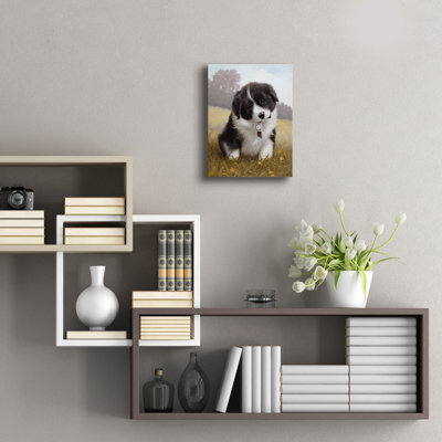 «Border Collie Puppy» par John Silver
