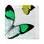 Butterflies Cotton Sateen Cocktail Napkins-1244564223
