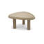 Briel Solid Wood Coffee Table-72767109-97704996