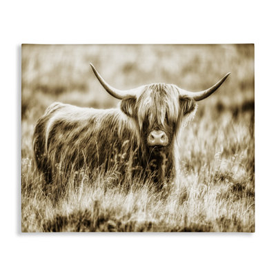 'Vintage Cow in Pasture Animal Photo' Graphic Art on Canvas