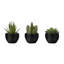 Plantes grasses artificielles en pot 6 pouces, ensemble de 3, verdure artificielle pour la maison et le bureau