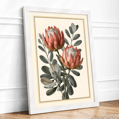 Protea Studies Botanical - Framed Print