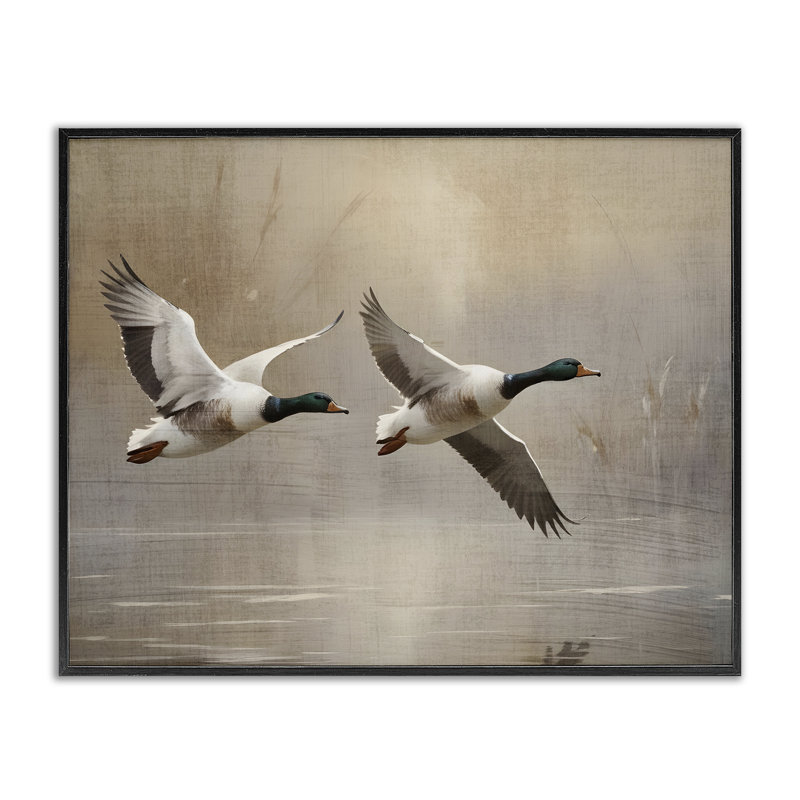 «Mallard Ducks over Pond», dessin de Susan Arnot, Giclée noire de minuit encadrée, H 11 po x l 14 po