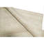Area Rug in Beige