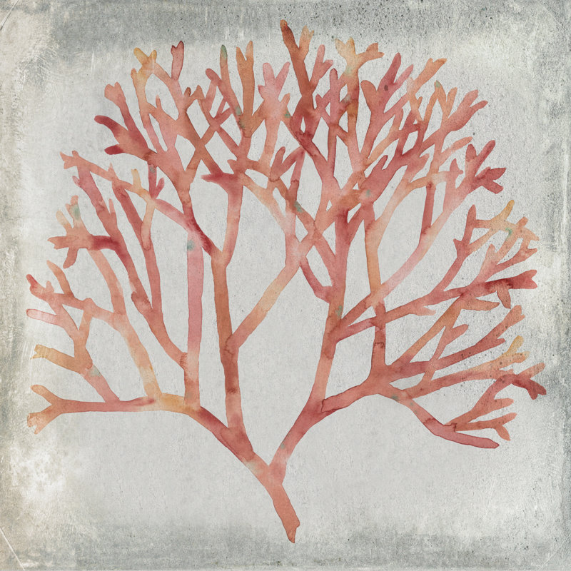 Watercolor Coral IV by Megan Meagher - Wrapped Canvas Painting, 30cm H x 30cm W