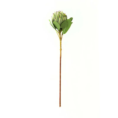 Arrangement
