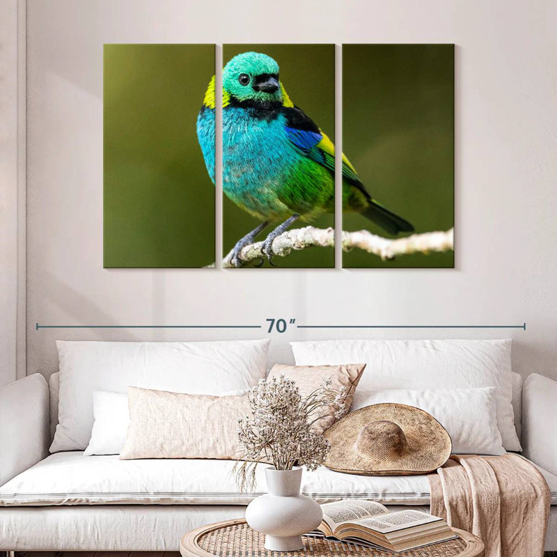 Brampt Green Headed Tanager, 32" H x 50" W
